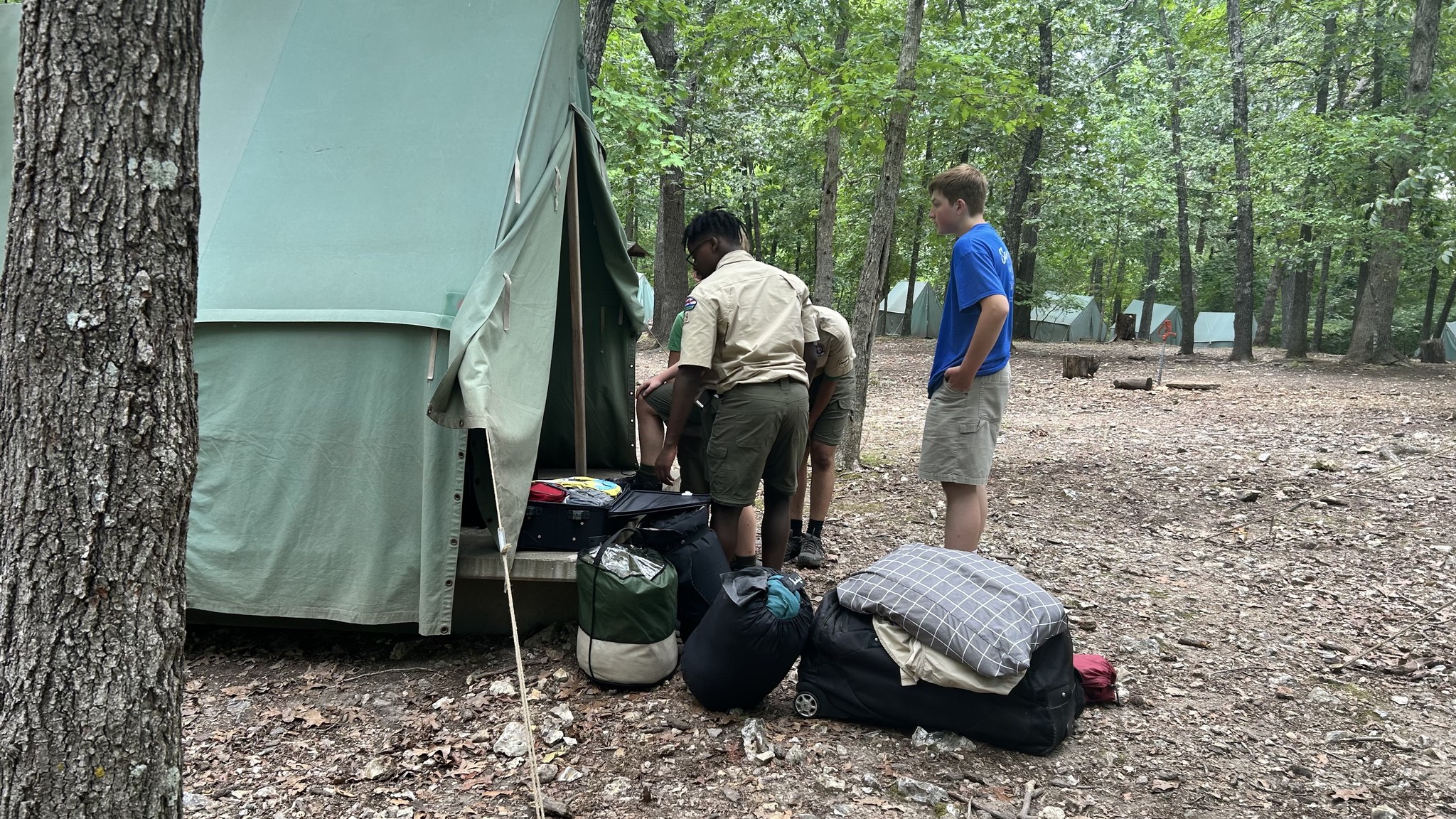 Canvas tents nestled among trees at a LOTOSR campsite